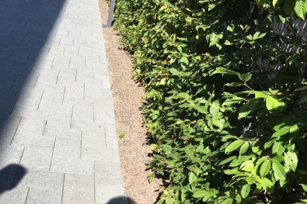 Auenreinigung_it_Grnpflege